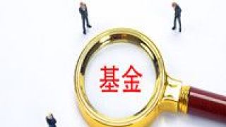 美股,資管,20,QDII,激辯,多只 多只QDII今年下跌超20% 資管巨頭激辯美股后市