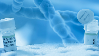 25,九極,香雪,全資,虛假,制藥 香雪制藥全資子公司九極生物因虛假廣告被罰25萬