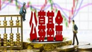 公募,細分,調研,大增,力度,上半年 細分領域投資機會豐富 公募上半年調研力度大增