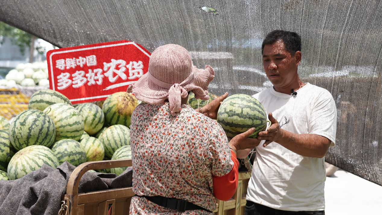 驗(yàn)瓜師,抓品,拍瓜,夏邑,上萬個(gè),執(zhí)著 每天拍瓜上萬個(gè)，驗(yàn)瓜師執(zhí)著“抓品控”打響夏邑品牌