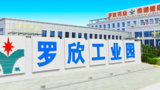 羅欣,不增,反降,集采,中標,藥品 羅欣藥業多藥品中標集采 業績不增或反降