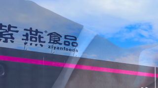 紫燕,電鰻,三根,心口,食品,財(cái)經(jīng) 電鰻財(cái)經(jīng)|紫燕食品正式上市  “三根刺”扎在投資者心口!