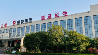 險招,18,募資,30,補流,傲農 傲農生物增發“險招”：兩期虧損超20億元募資18億元近30%補流  誰會埋單？