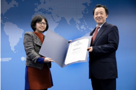 2022,聯(lián)合國(guó)糧農(nóng)組織,普惠,助力,多多,年度 助力農(nóng)業(yè)科技普惠，拼多多獲聯(lián)合國(guó)糧農(nóng)組織2022年度創(chuàng)新獎(jiǎng)