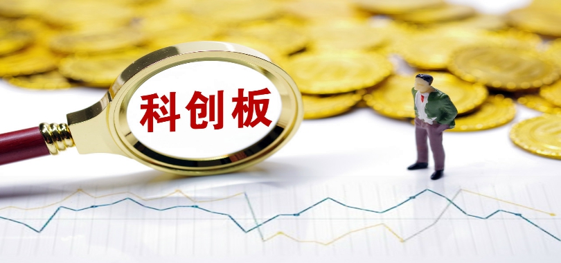 后大,勇闖科,創(chuàng)板,IPO,CEO,中芯 與前CEO對(duì)簿公堂！燦芯股份引入中芯國(guó)際后大變革 勇闖科創(chuàng)板IPO