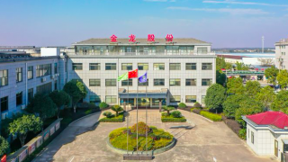 IPO,電鰻,金龍,繼承,放棄,母親 電鰻財經|金龍股份IPO：原第一大股東兒子、母親放棄股權繼承，生產安全誰負責？
