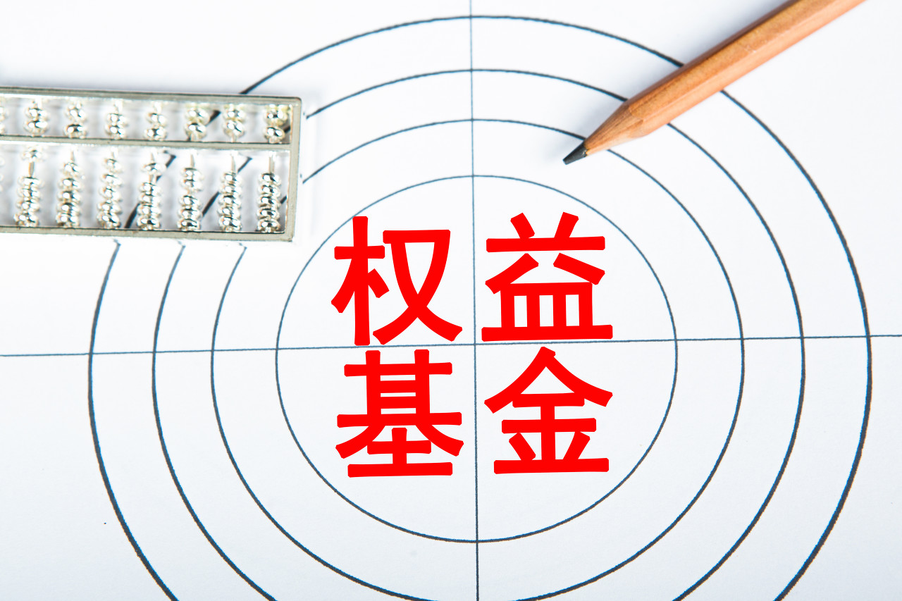 注式,熱議,過半,基金,權益,虧損 過半主動權益類基金年內虧損 基金“押注式”投資引發市場熱議