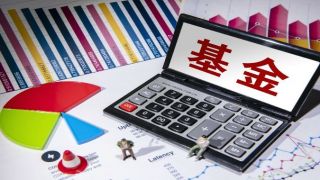 李志武,44,創金合信,電鰻,容許,凈值 電鰻財經｜成立兩年凈值下跌44%  誰能容許創金合信基金李志武“躺平”？
