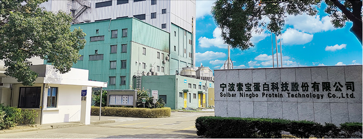 討人嫌,IPO,索寶,電鰻,套現(xiàn),巨額 電鰻財經(jīng)｜又是巨額套現(xiàn)！索寶股份IPO未上市已討人嫌