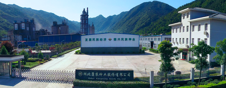 康農,種業,疑似,撤銷,關聯,多家 康農種業合作單位已被撤銷，多家大客戶疑似存關聯關系