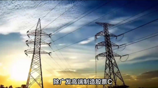 電鰻,廣發(fā)基金,持有人,分化,情緒,出現(xiàn) 電鰻號|廣發(fā)基金持有人情緒出現(xiàn)大分化
