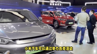 電鰻,攪動(dòng),小米,能否,能源,汽車 電鰻號(hào)|小米能否攪動(dòng)新能源汽車市場(chǎng)？