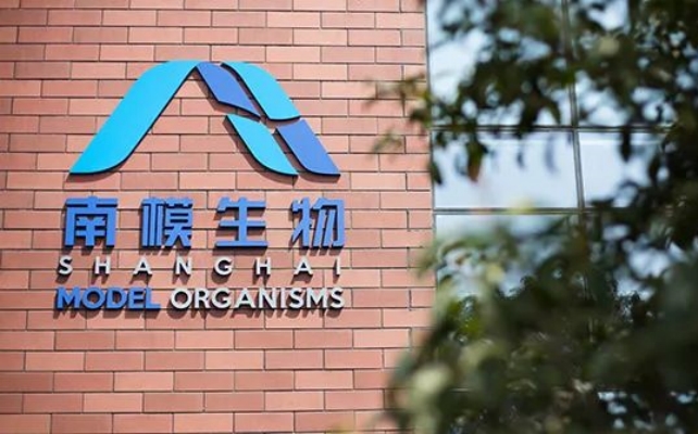 南模,躋身,融通,警示,準確,十大 電鰻號｜南模生物披露信息不準確收警示函融通基金持股躋身前十大股東