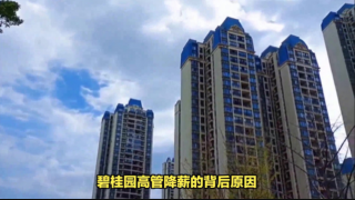電鰻 電鰻號(hào)|碧桂園高管降薪，楊惠妍財(cái)富縮水200億