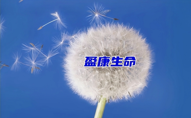 盈康,營收,扭虧,凈利,產(chǎn)業(yè)鏈,布局 盈康生命營收凈利雙增長實現(xiàn)扭虧 加速推動全產(chǎn)業(yè)鏈布局與發(fā)展