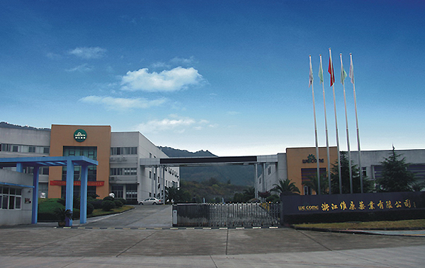維康,財報,實控,非標,占用,藥業 維康藥業財報被“非標”：實控人占用公司資金影響難判斷