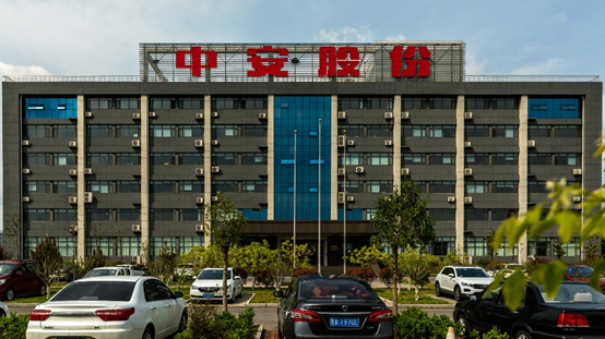 中安,存疑,問詢,收到,經營,持續 持續經營能力存疑 中安股份收到問詢函