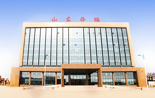 7.86,華鵬,逾期,凍結(jié),子公司,賬戶 山東華鵬及子公司7.86億債務(wù)逾期 多個銀行賬戶已被凍結(jié)