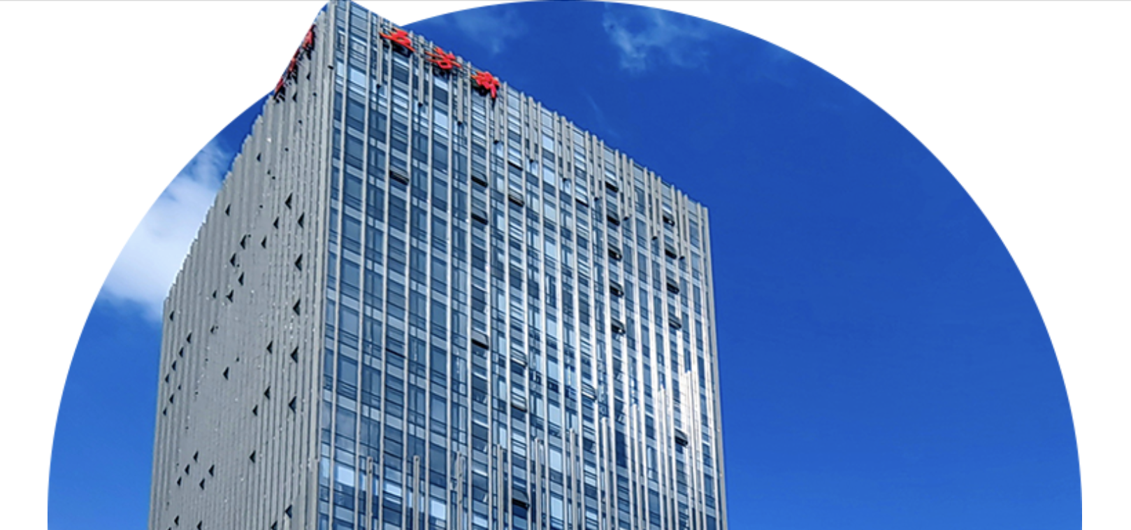 五芳齋,20.92,雙降,營收,2024,粽子 五芳齋2024年?duì)I收凈利潤(rùn)雙降，粽子銷量下滑20.92%