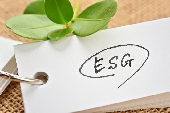 ESG ESG信息披露變革進行時：國內(nèi)信息批露規(guī)則亟需走向統(tǒng)一