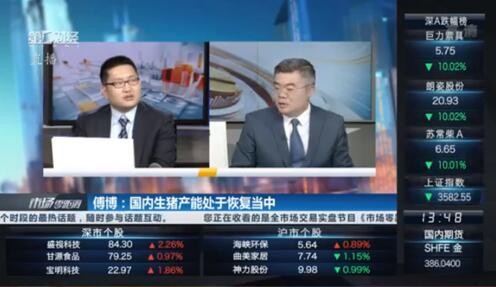 金信期貨 金信期貨傅博：生豬產能持續恢復，遠期價格偏弱震蕩