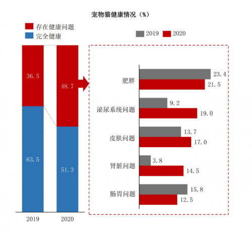 愛寵 體檢 體檢月 健健康康過大年，愛寵公益體檢月已上線