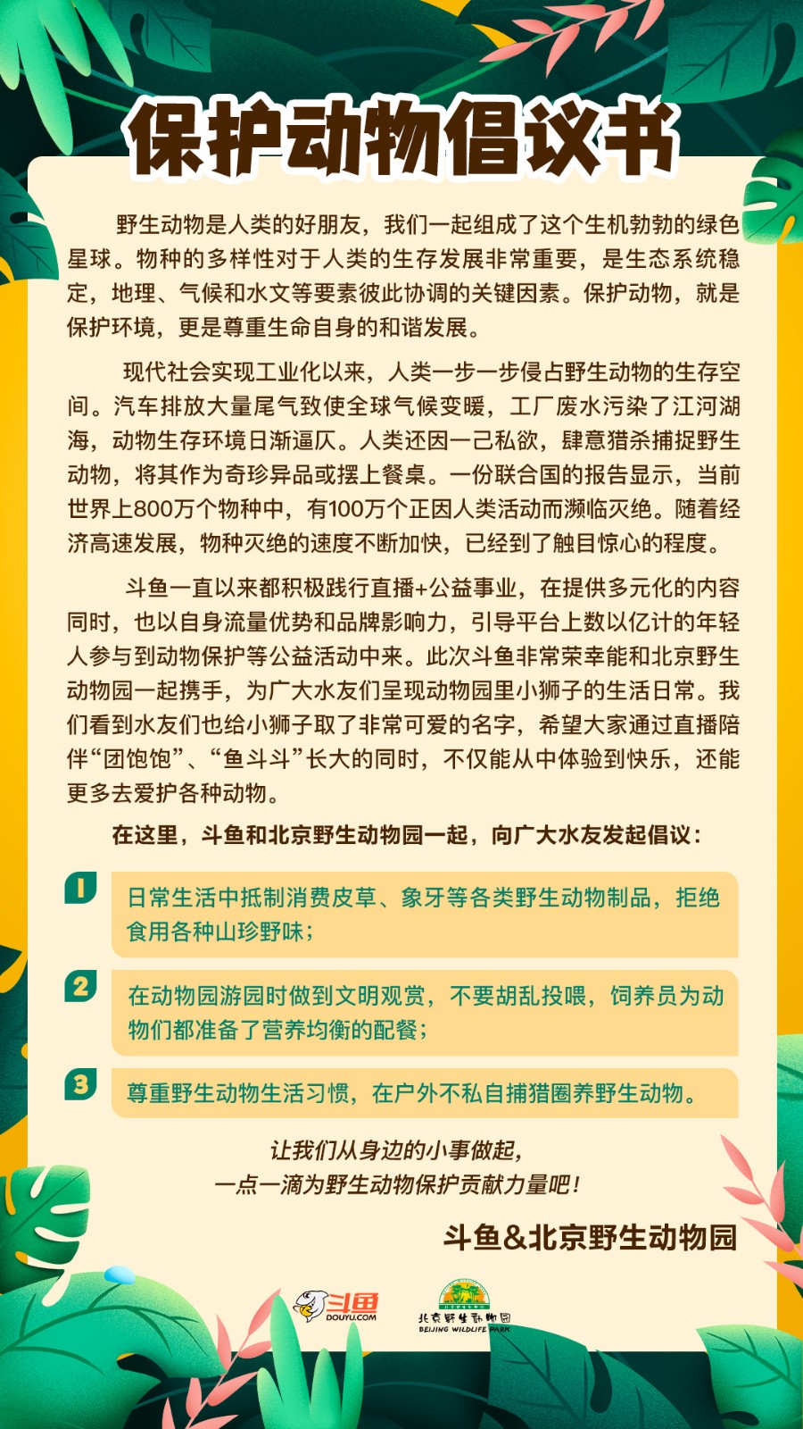 斗魚(yú) 北野 小團(tuán)團(tuán) 斗魚(yú)攜手北野推出動(dòng)物主播 小團(tuán)團(tuán)成野生動(dòng)物保護(hù)推廣大使