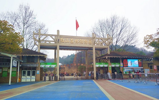 紅山動物園 森林 最熱好課 少年得到馳援紅山動物園，三千多名小學員報名捐出學習時長