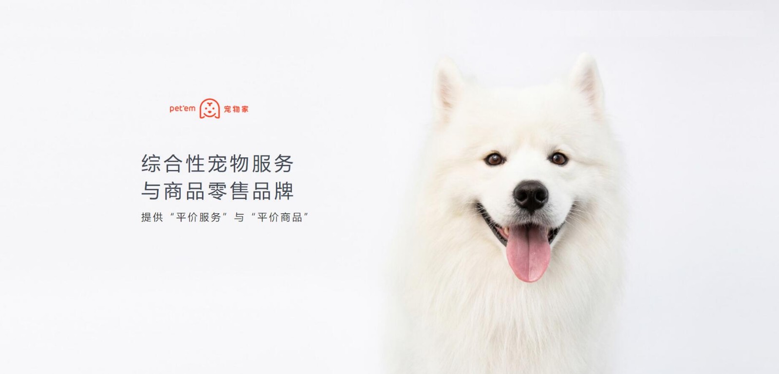 融資 寵物家 挑戰者資本 三個月內連續兩輪融資 寵物家進入全面擴張階段