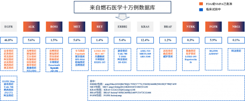 燃石醫學 雙檢測產品 臨床獲益 融二為一, 燃石醫學為實體瘤患者提供DNA+RNA雙檢測產品