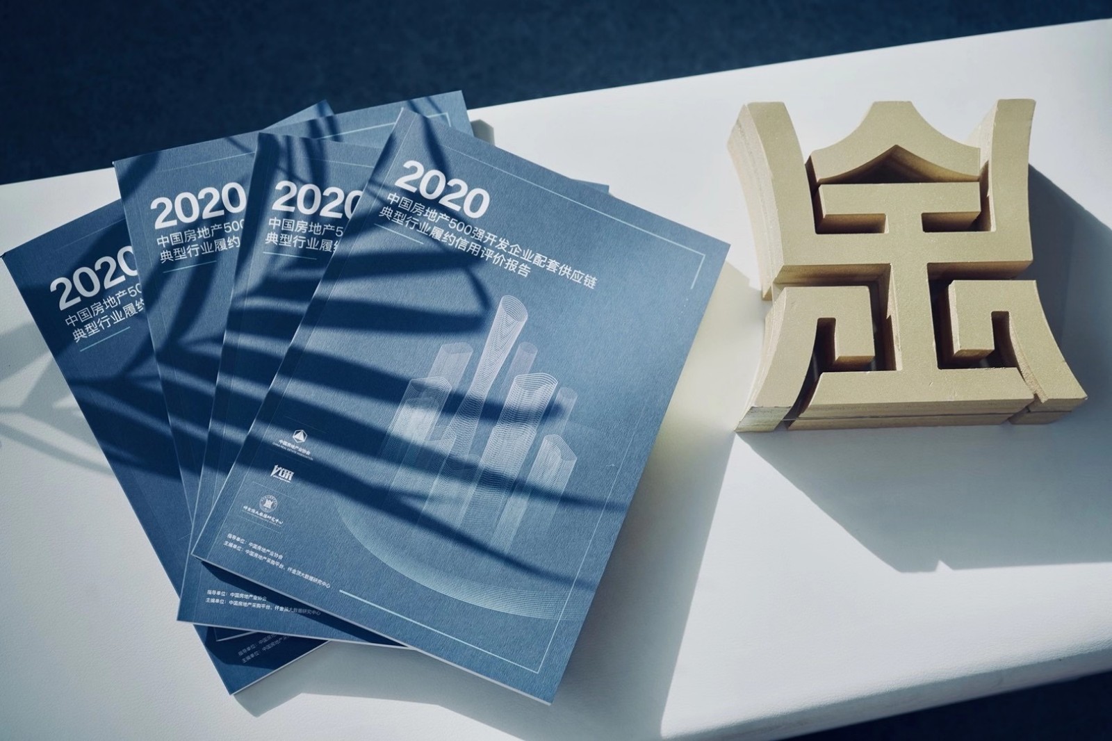 梧桐樹 溫州龍灣 人才日 栽下梧桐樹，引得鳳凰來 溫州龍灣舉行首個“溫州人才日”慶祝活動