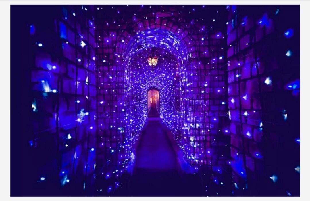 LED 華燦光電 行業發展 ? Mini LED持續受資本市場熱捧 華燦光電前瞻布局引領行業發展