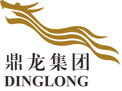 鼎龍集團 大型骨干 企業目錄 鼎龍集團入選2020-2021年度廣東省重點支持大型骨干企業目錄