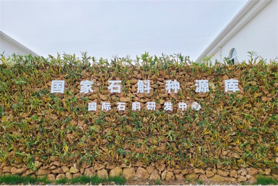 成都 石斛種源庫 雙熊貓 成都將建世界最大石斛種源庫 打造“雙熊貓”城市名片