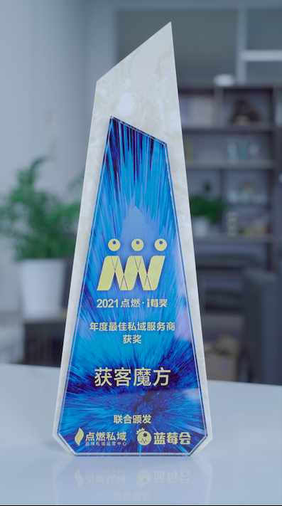 私域 獲客魔方 “2020中國私域行業年度大獎”揭曉 獲客魔方獲評“最佳私域服務商”