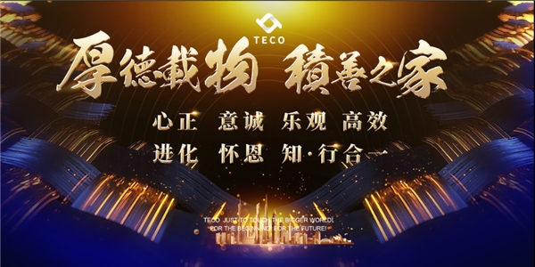 Teco 牛市 深度：Teco的財富密碼