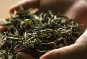 天九共享 茶企 天九老板云助力茶企做強做大 醉品茶集開辟發展新路徑