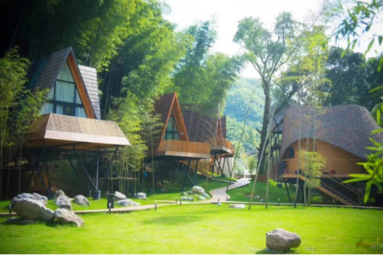 浙江余姚樹屋 浙江余姚樹屋登上《天天向上》，樹蛙部落為什么能全網爆紅？ 