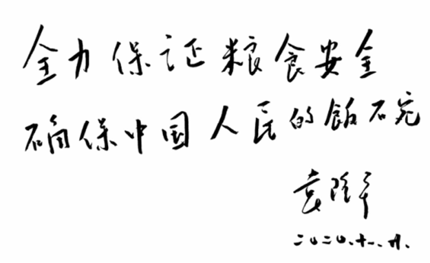 中國人的飯碗 深切緬懷袁隆平先生——全力保證糧食安全，確保中國人民的飯碗