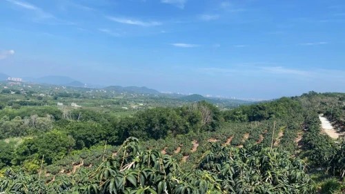 鷹視教育 肩抗社會責任 鷹視教育開啟“百萬現金助農計劃”