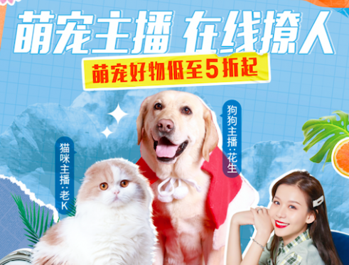 直播電商 蘑菇街 直播電商的首場(chǎng)“寵物直播”，蘑菇街再創(chuàng)直播新玩法